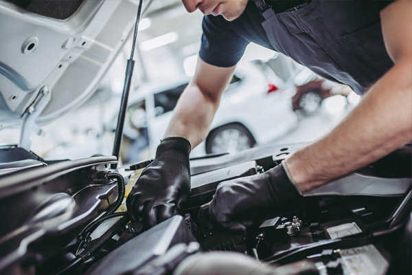 Full Vehicle Service